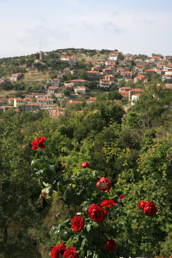 Arhontiko Parnona Hotel Karyes ภายนอก รูปภาพ